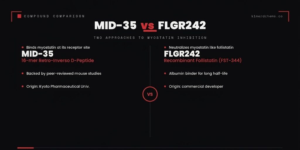 MID-35 vs FLGR242: Two Routes to Myostatin Inhibition